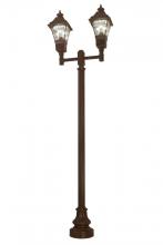  173838 - 47" Long Carefree 2-Light Street Lamp