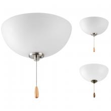  P2650-01WB - Bravo Collection Two-Light Ceiling Fan Light