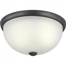  P350044-143 - Two-Light 14" Glass Dome Flush Mount