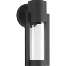  P560051-031-30 - Z-1030 Collection One-Light LED Small Wall Lantern