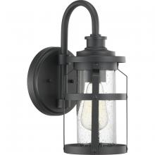  P560094-031 - Haslett Collection One-Light Small Wall Lantern