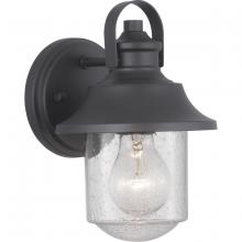  P560119-031 - Weldon Collection One-Light Small Wall Lantern