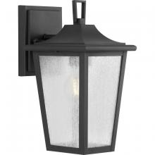  P560307-031 - Padgett Collection One-Light Transitional Textured Black Clear Seeded Glass Outdoor Wall Lantern