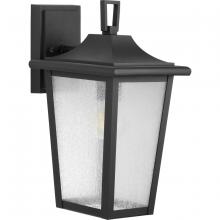  P560308-031 - Padgett Collection One-Light Transitional Textured Black Clear Seeded Glass Outdoor Wall Lantern