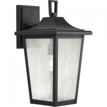  P560309-031 - Padgett Collection One-Light Transitional Textured Black Clear Seeded Glass Outdoor Wall Lantern