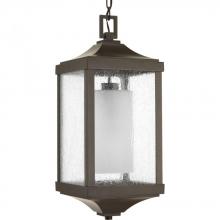  P550003-020 - Devereux Collection One-Light Hanging Lantern