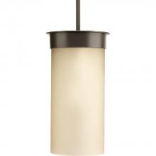  P5523-20 - Hawthorne Collection One-Light Large Hanging Lantern