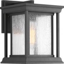 P5605-31 - Endicott Collection One-Light Small Wall Lantern