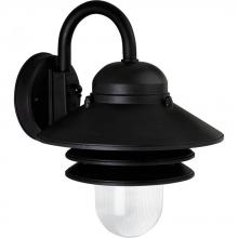  P5645-31 - Newport Collection Non-Metallic One-Light Wall Lantern