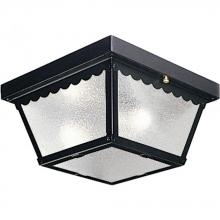  P5729-31 - Two-Light 9-1/4" Flush Mount for Indoor/Outdoor use