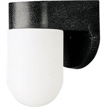  P5817-31 - Non-Metallic Incandescent One-Light Outdoor Wall Lantern