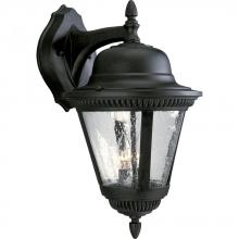  P5864-31 - Westport Collection Two-Light Large Wall Lantern