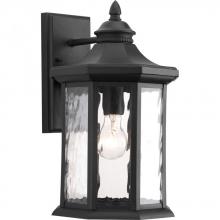  P6072-31 - Edition Collection One-Light Large Wall Lantern