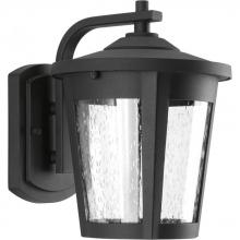  P6078-3130K9 - East Haven Collection One-Light Medium LED Wall Lantern