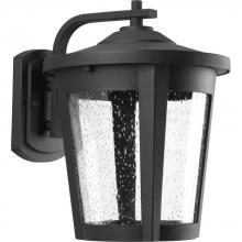  P6079-3130K9 - East Haven Collection One-Light Large LED Wall Lantern