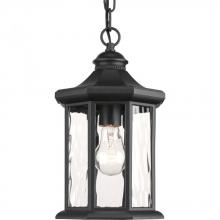  P6529-31 - Edition Collection One-Light Hanging Lantern