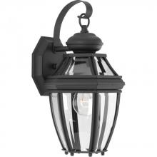  P6610-31 - New Haven Collection One-Light Small Wall Lantern