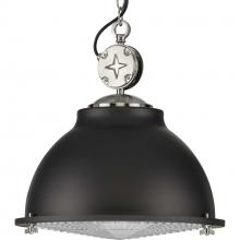  P500212-143 - Medal Collection One-Light Graphite Clear Patterned Glass Coastal Pendant Light