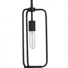  P500223-031 - Bonn Collection One-Light Matte Black Farmhouse Pendant Light