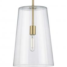  P500242-012 - Clarion Collection One-Light Satin Brass Clear Glass Coastal Pendant Light