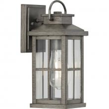  P560264-103 - Williamston Collection One-Light Antique Pewter and Clear Glass Transitional Style Small Outdoor Wal