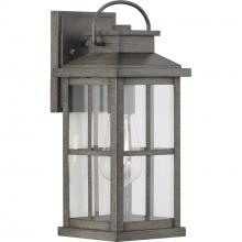  P560265-103 - Williamston Collection One-Light Antique Pewter and Clear Glass Transitional Style Medium Outdoor Wa