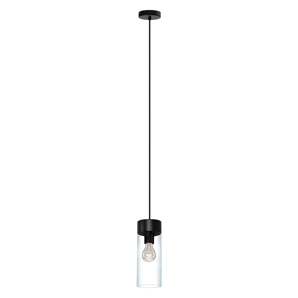 1x60W Pendant w/ Matte Black Finish and Clear Glass