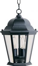  1009BK - Westlake-Outdoor Hanging Lantern