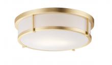  10270WTSBR - Rogue E26-Flush Mount