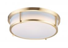  10272WTSBR - Rogue E26-Flush Mount