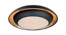  35072CYGLBK - Iris-Flush Mount