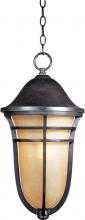  40107MCAT - Westport VX 1-Light Outdoor Hanging Lantern
