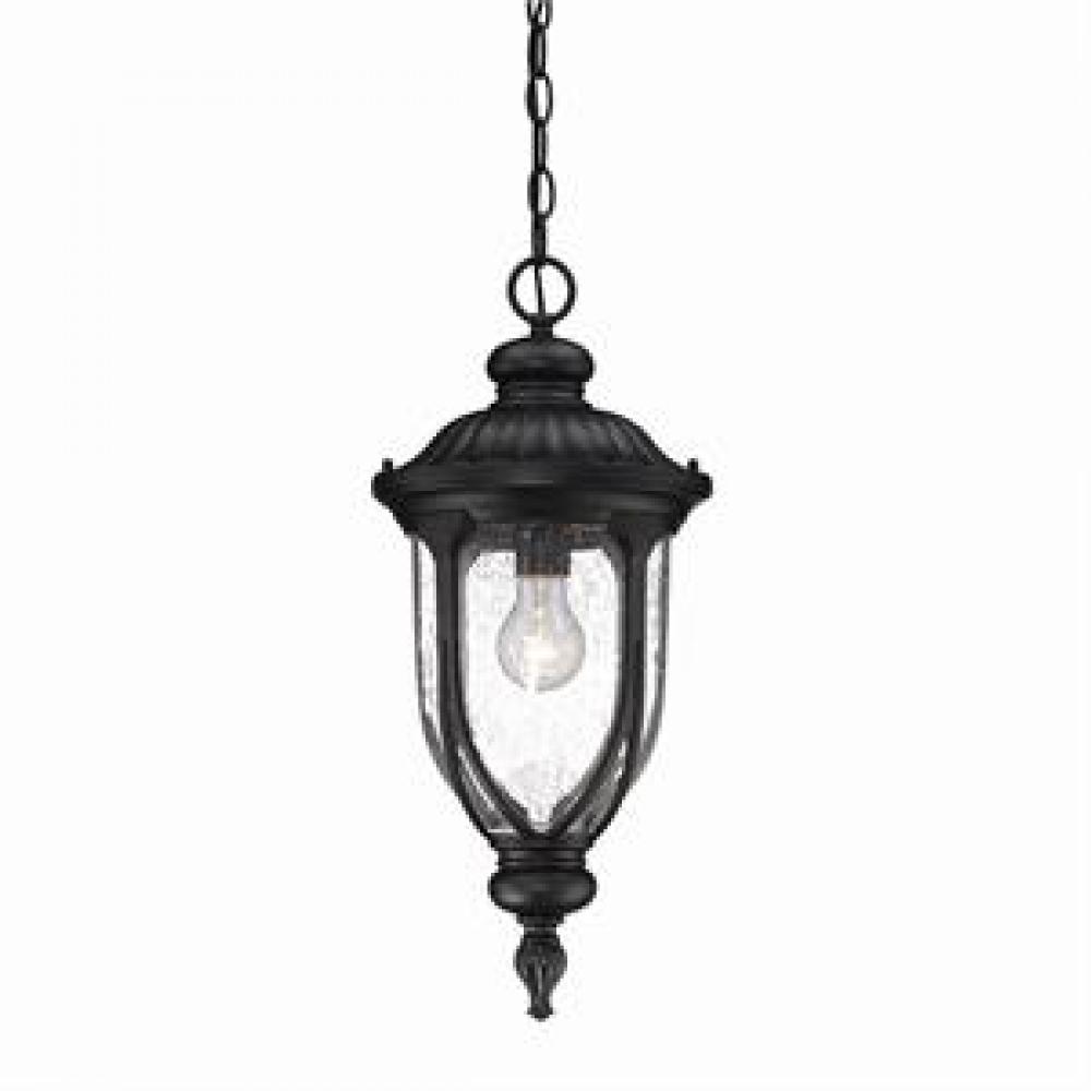 Laurens Collection Hanging Lantern 1-Light Outdoor Matte Black Light Fixture