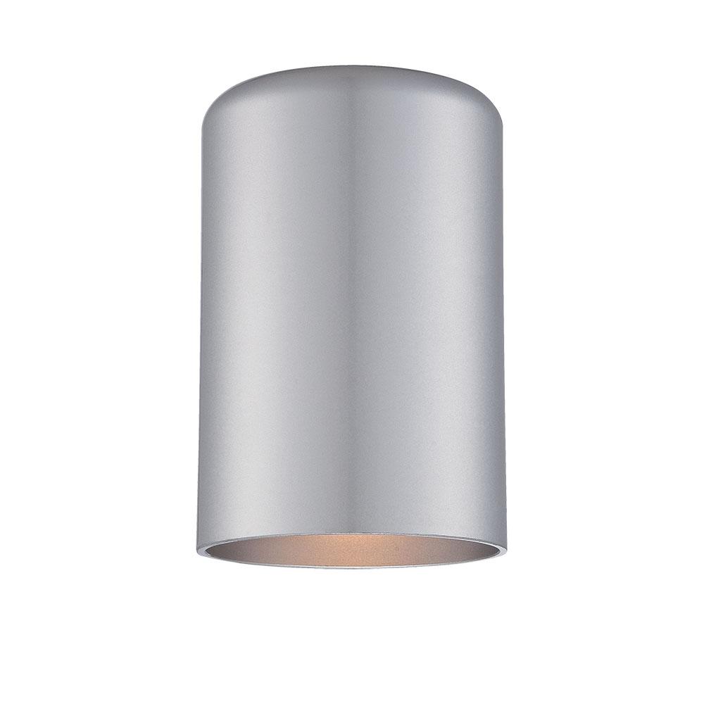 Wall Sconces Collection Wall-Mount 1-Light Outdoor Brushed Silver Light Fixture