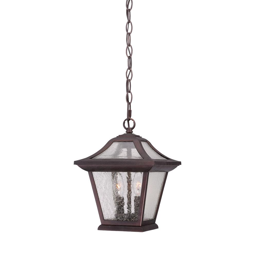 Aiken Collection Hanging Lantern 2-Light Outdoor Architectural Bronze Light Fixture
