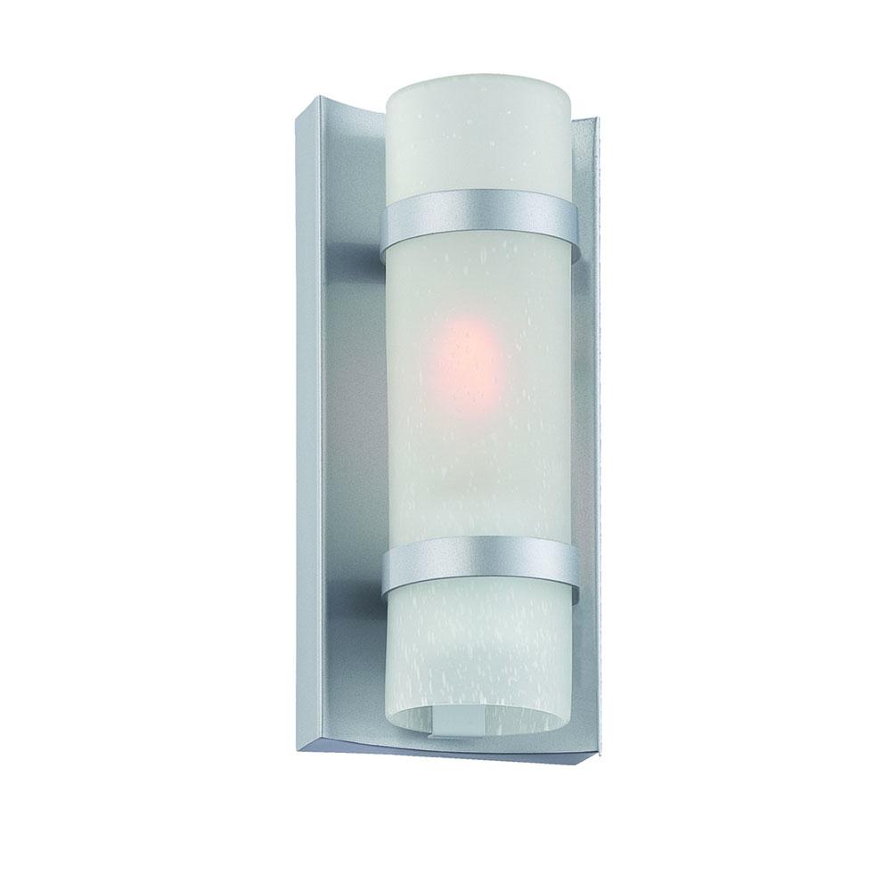 Apollo Collection Wall-Mount 1-Light Outdoor Brushed Silver Light Fixture