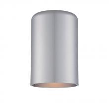 Acclaim Lighting 31992BS - Wall Sconces Collection Wall-Mount 1-Light Outdoor Brushed Silver Light Fixture