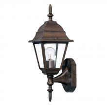  4001BW - Builder's Choice Collection Wall-Mount 1-Light Outdoor Burled Walnut Fixture