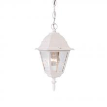  4006TW - Builder's Choice Collection Hanging-Mount 1-Light Outdoor Textured White Lantern