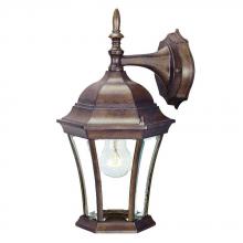  5022BW - Bryn Mawr Collection Wall-Mount 1-Light Outdoor Burled Walnut Light Fixture