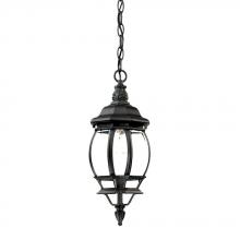 5056BK - Chateau Collection Hanging Lantern 1-Light Outdoor Matte Black Light Fixture