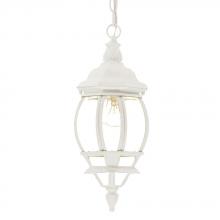  5056TW - Chateau Collection Hanging Lantern 1-Light Outdoor Textured White Light Fixture