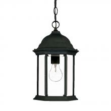 Acclaim Lighting 5186BK - Madison Collection Hanging Lantern 1-Light Outdoor Matte Black Light Fixture