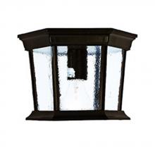  5275BW - Dover Collection Ceiling-Mount 1-Light Outdoor Burled Walnut Light Fixture