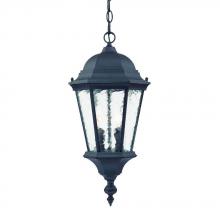  5516BK - Telfair Collection Hanging Lantern 2-Light Outdoor Matte Black Light Fixture