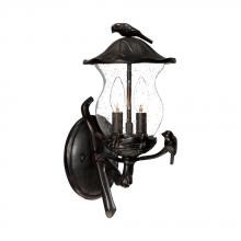 Acclaim Lighting 7551BC/SD - Avian Collection Wall-Mount 2-Light Outdoor Black Coral Light Fixture