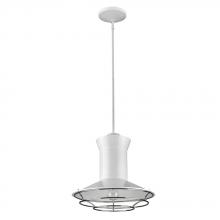  IN21166WH - Newport Indoor 1-Light Pendant W/Louver In White