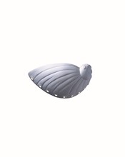  CER-3720-BIS - Abalone Shell