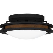  QFL5610NI - Quoizel Flush Mount