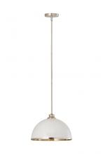  1004P14-MW-BN - 1 Light Pendant